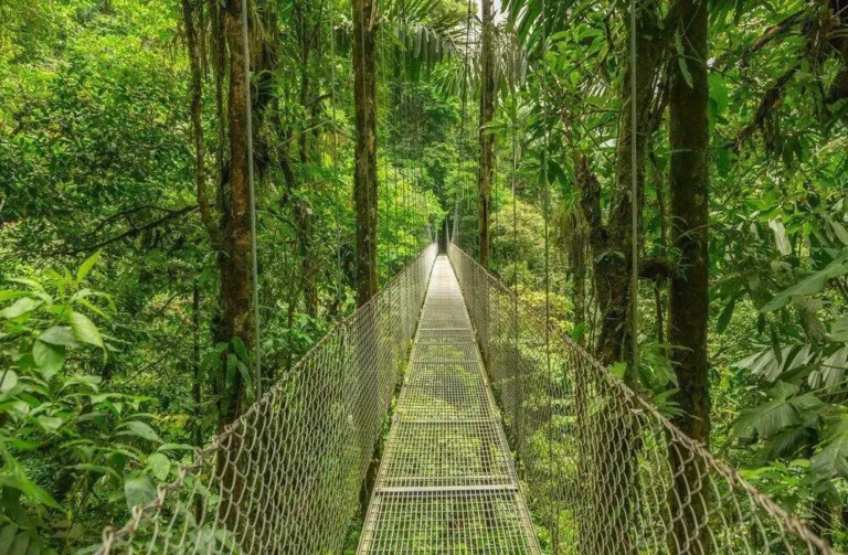 Costa Rica : De la jungle aux plages tropicales de l’Amérique Centrale